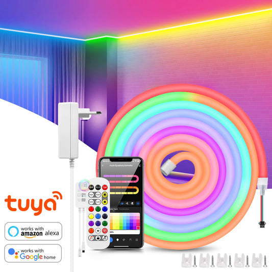 TUYA Neon Strip 24V WiFi Voice Control RGBIC Dreamcolor Neon Rope Light 120leds/m Waterproof Ribbon Decor for Alexa Google Home
